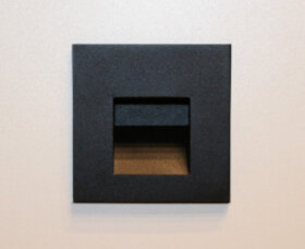 DL 3019 black 1W LED 3000K with non dimmable driver 350MA 3V светильник встраиваемый