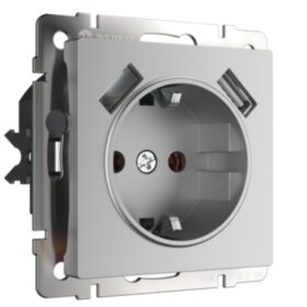 WL Розетка с заземлением, шторками и USBх2 (серебряный)