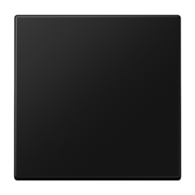 Jung Клавиша для балансирных выключателей; дюропласт; черный матовый