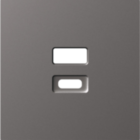 Donel A07 матовый титан накладка для розеток USB