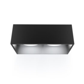 Светильник накладной ARTON, прямоугольник, 200х100х80, 2хGX53, алюминий, черный, Ritter