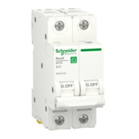 Автоматический выключатель Schneider Electric RESI9  B 25А 2P 6000A R9F02225