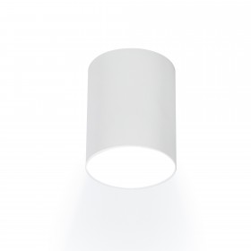 Светильник накладной ARTON, цилиндр, 80х100, GU10, алюминий, белый, Ritter
