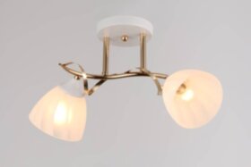 2465/2 FG+WT (6) Люстра