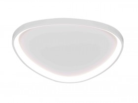 2550/850 WHITE (1) Потолочный светильник (RL)