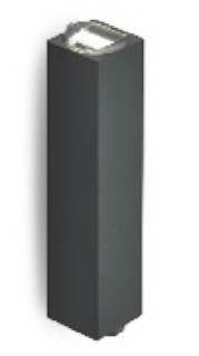 Лучевой фасадный светильник Rayline 2x3W black 3000K IP54 85-265V (100)