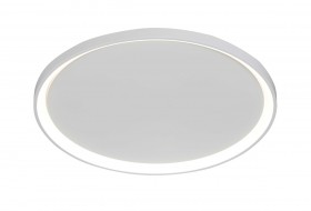 2551/580 WHITE (1) Потолочный светильник (RL)