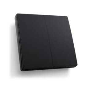 Выключатель дистанционного управления 230V 500W двухклавишный, TM82, черный FERON