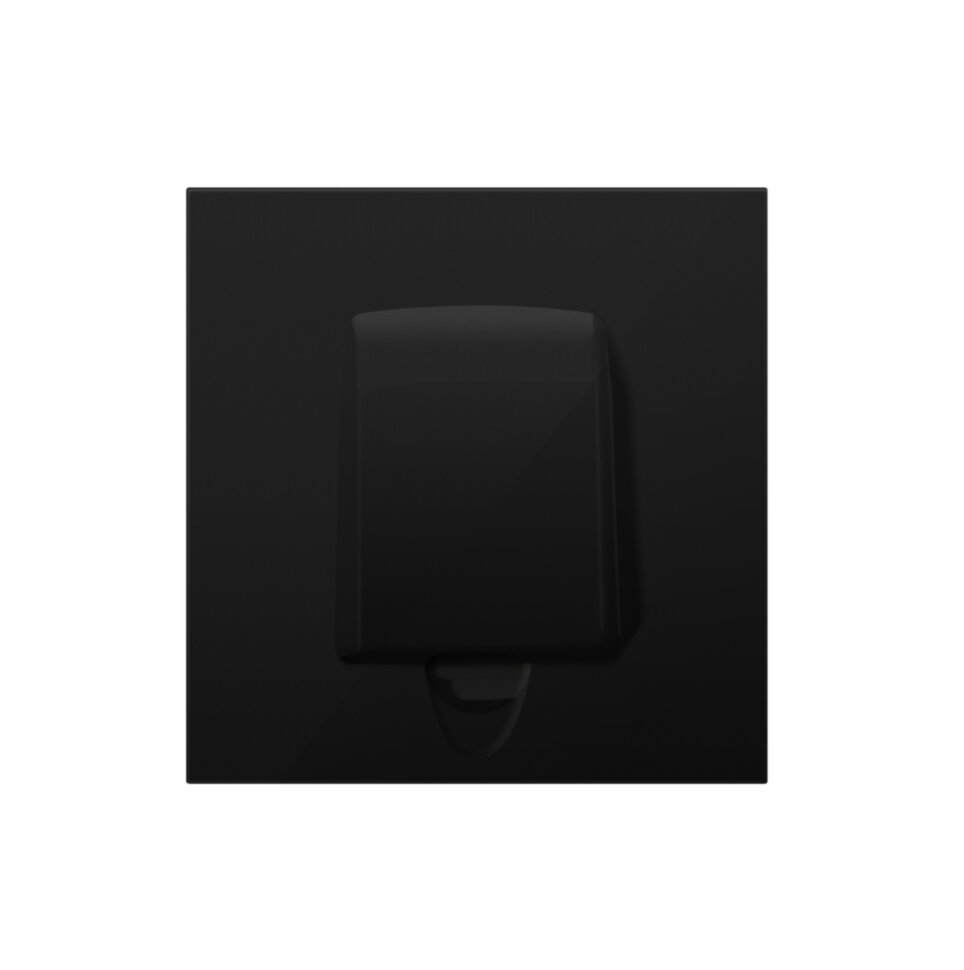 Кабельный вывод , матовый карбон