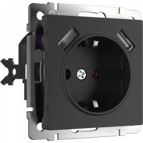 WL Розетка с заземлением, шторками и USBх2 (черный матовый)