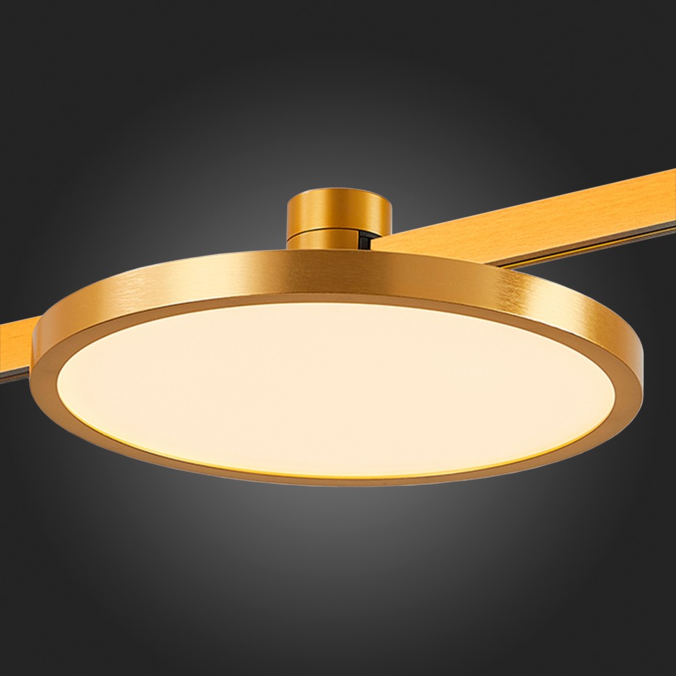 ST800.446.15 Магнитный трековый светильник Черный LED 1*15W 4000K 950Lm Ra>80 120о IP20 L305xW305xH25 48V