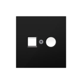 Накладка для розеток RJ45+SAT, 2-я, матовый карбон