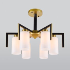 70126/6 / потолочный светильник / черный