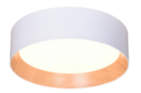 Потолочеый светильник  Braccia 119493C/WH LED 32W 4000K/ white