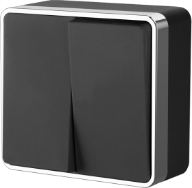 WL черный/хром Выкл 2-х клавишный WL15-03-01