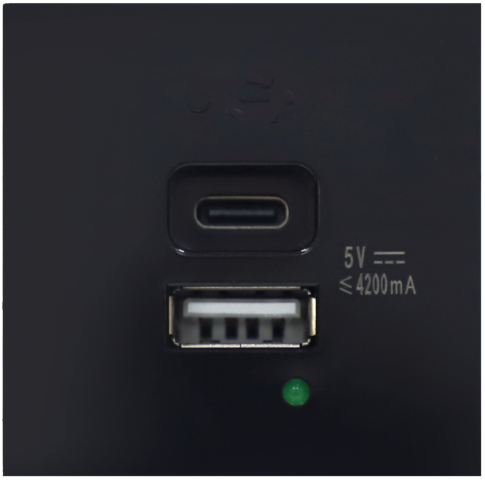 USB зарядное устройство, 4.2A , Type A + C, 2 мод., черн.