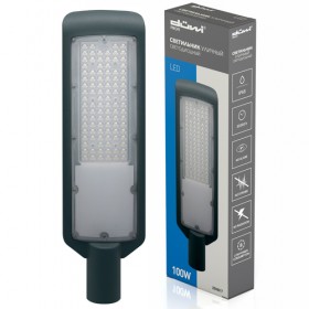 REV Светильник уличный светодиодный СКУ-04, 100Вт, 230В, 6500К, IP65, duwi