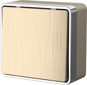 WL шампань рифленый Выкл 1 клавишный накладной WL15-01-01