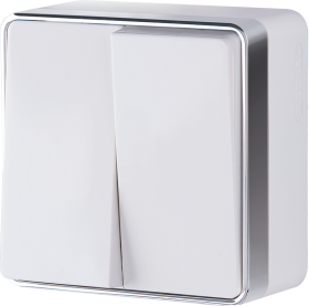 WL белый Выкл 2-х клавишный WL15-03-01