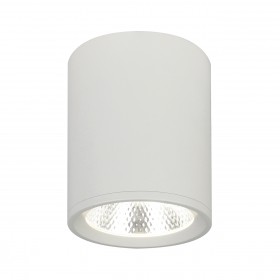 Потолочный светильник  Escada 20003SMU/02 LED 12W 4200K белый матовый