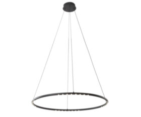 Люстра подвесная Botein 118895R/S  LED 12W 4000k/black