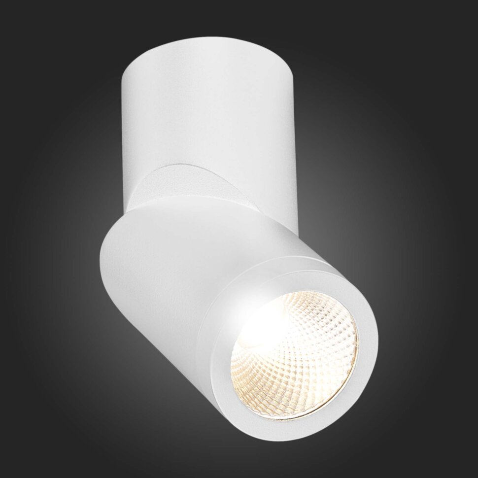 ST650.532.10 Светильник потолочный Белый LED 1*10W 3000K 800Lm Ra>90 38° IP44 D62xH151 165-265V