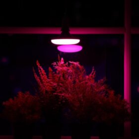 Фитолампа светодиодная, UFO, E27, 16 Вт, IP20, 220 В, d=120 мм, 120°, мультиспектральная 7391121