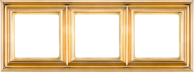 Jung Рамка EPD 3-я, пластик, &quot;имитация золота&quot;
