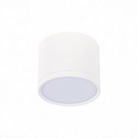 GD8001-2 Белый White 50шт./коробка