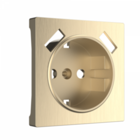 WL Розетка с заземлением (шампань)