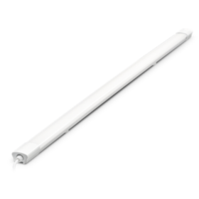 ЭКО IP65 60W 6500K Матовый накладной 1200мм