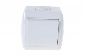 LZ NATA  бел наружн выкл 1 кл