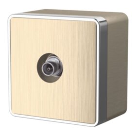 WL шампань рифленый ТВ-розетка оконечная