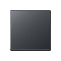 Jung Серия ECO Profi. Клавиша для выключателя; антрацит