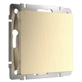 WL Заглушка  (шампань рифленый)